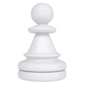 Échecs & Blitz - Association GOUPIL